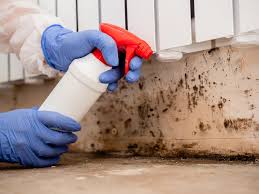 Best Mold Prevention Services  in Lake Heritage, PA